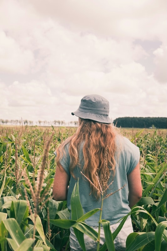 Fertilizantes y bioestimulantes orgánicos